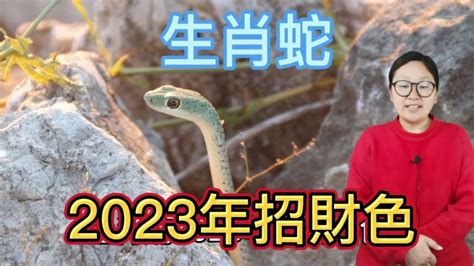 屬蛇幸運顏色